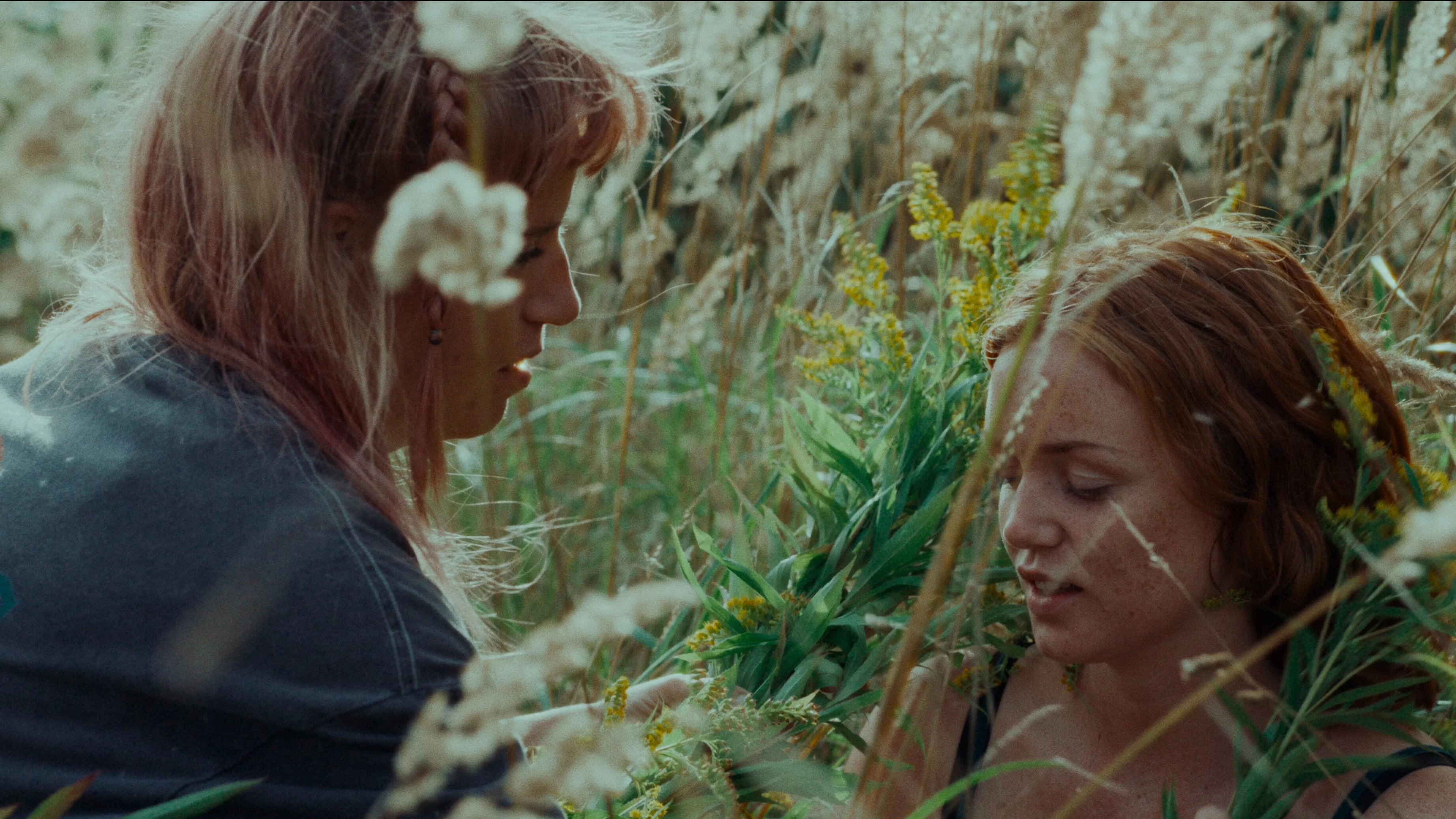 Эффект Венеры