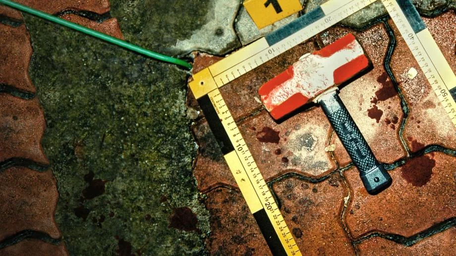 Убийца в плаще: Охота на корейского хищника