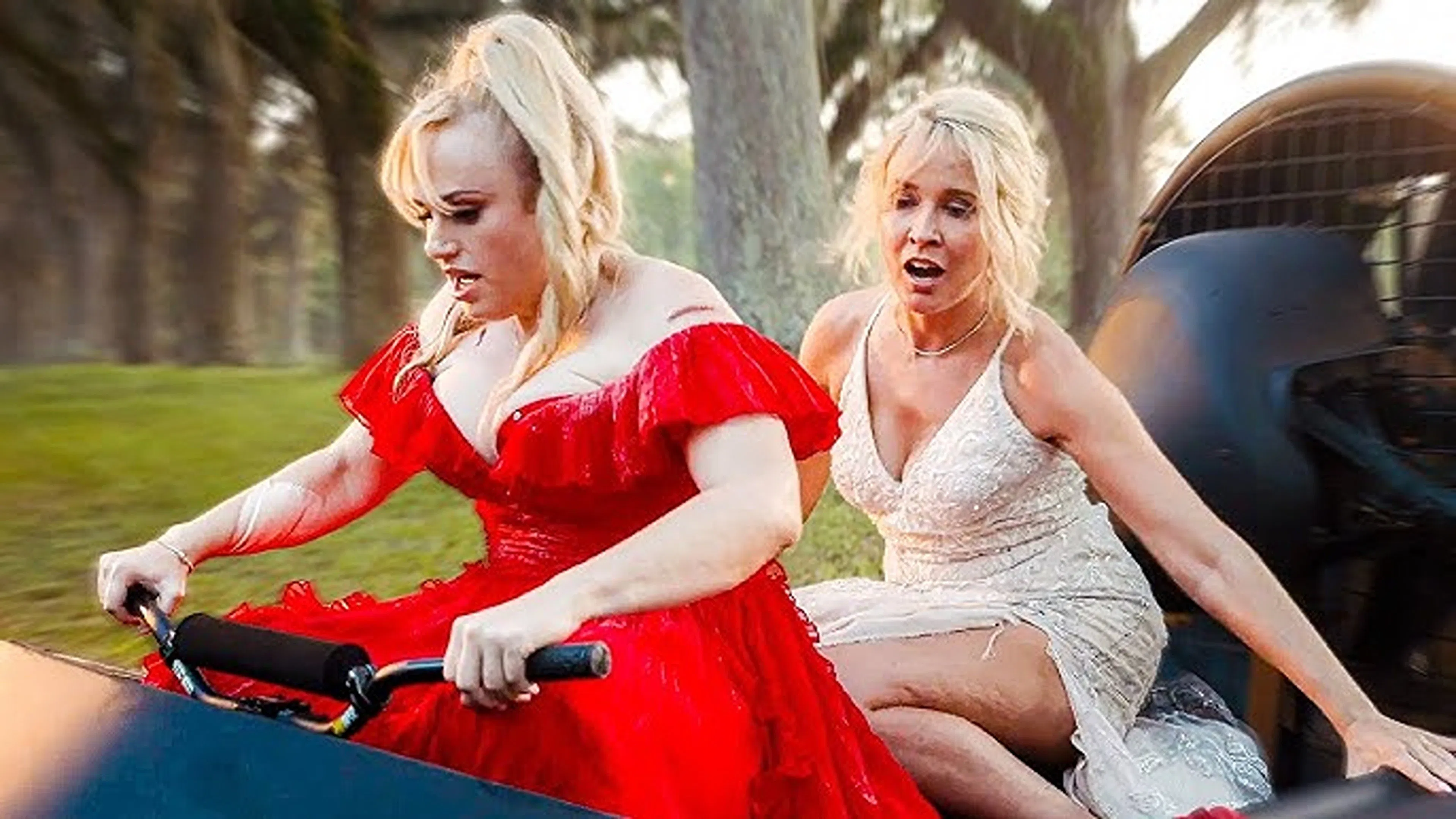 Шпионская свадьба