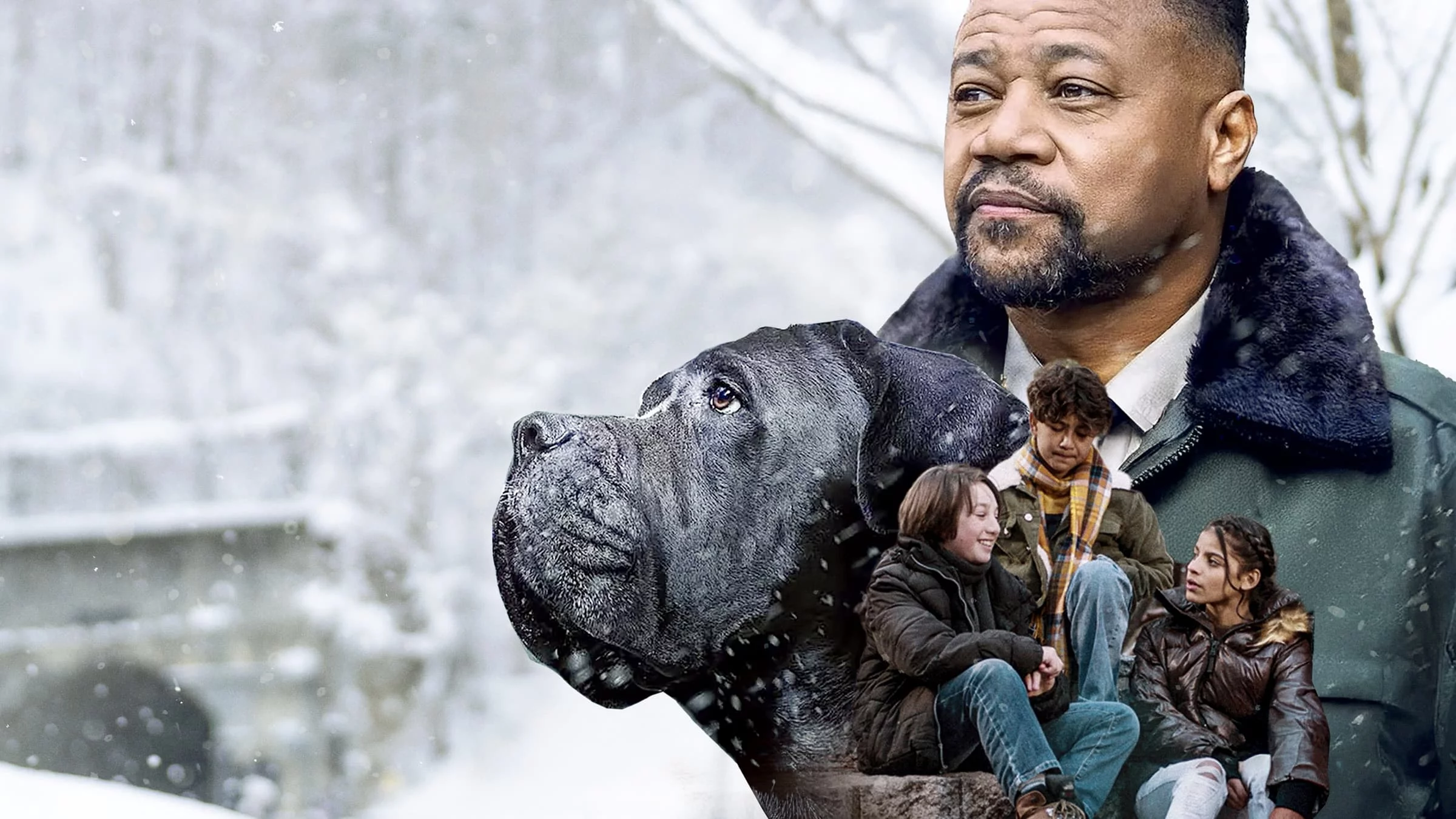 Собачий патруль: Операция "Санта Лапкус"