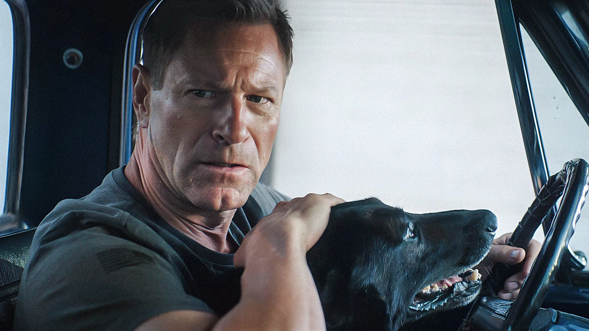 Клык 2: Город волков