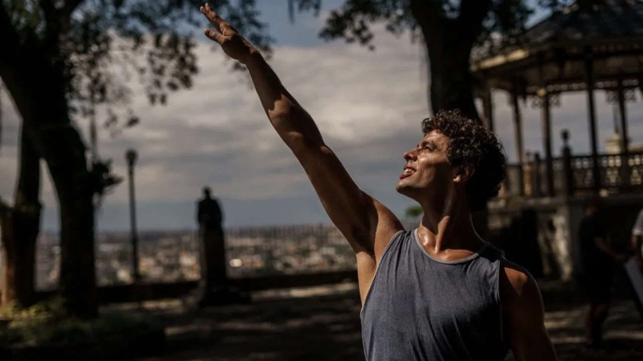 Волк среди лебедей