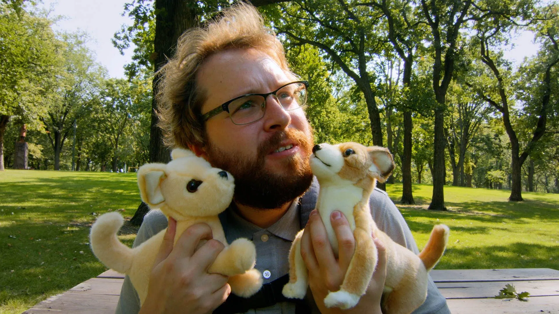 Эй Джей и собачий парк