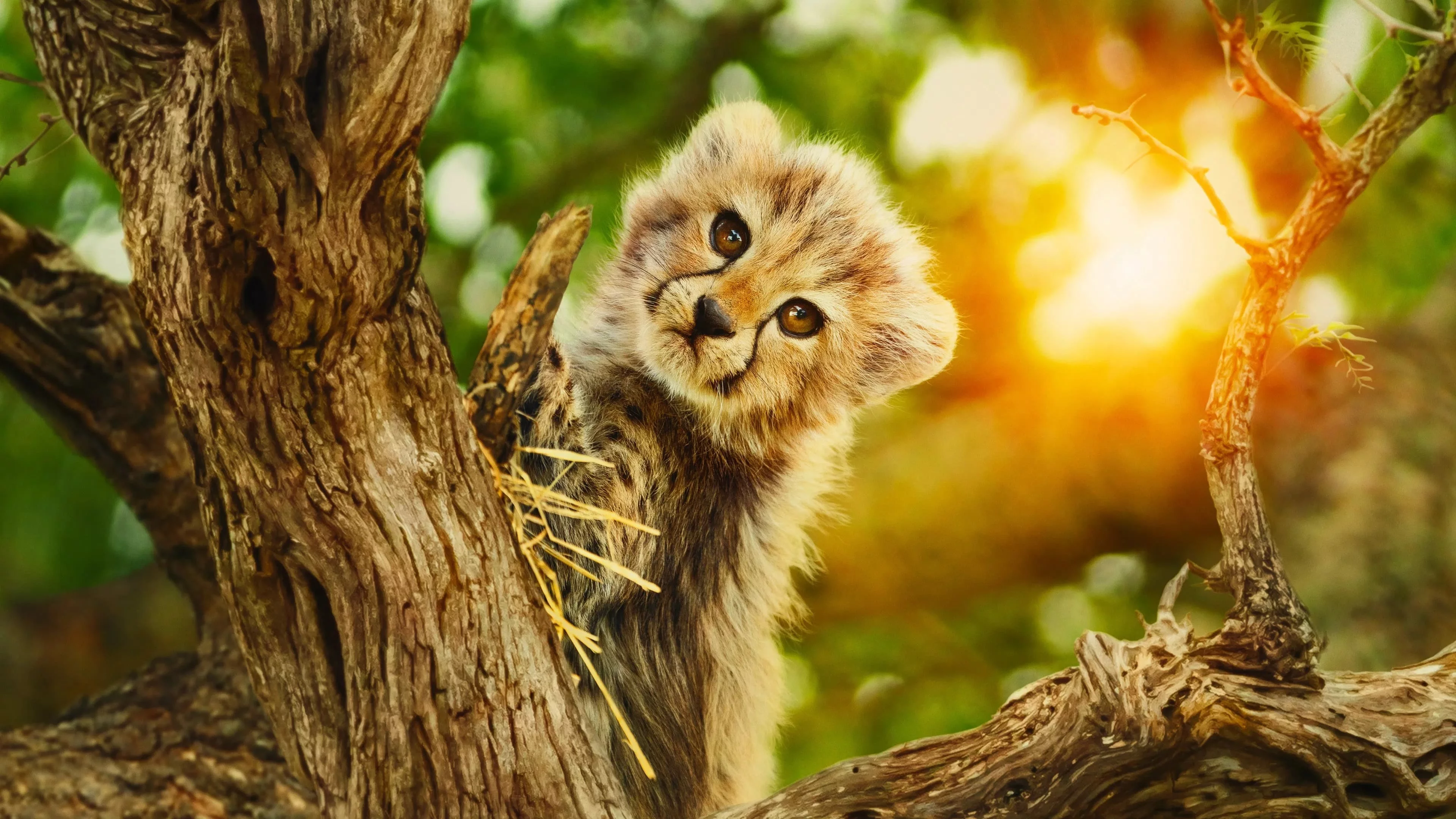 Рождённые быть дикими