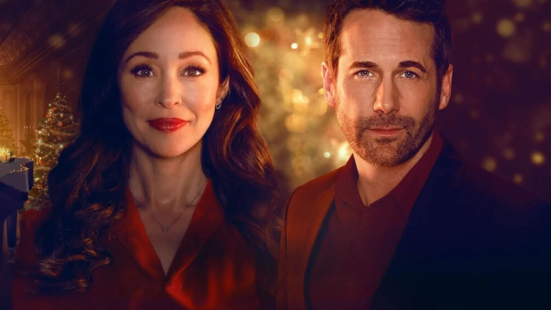 Мы встретились в декабре