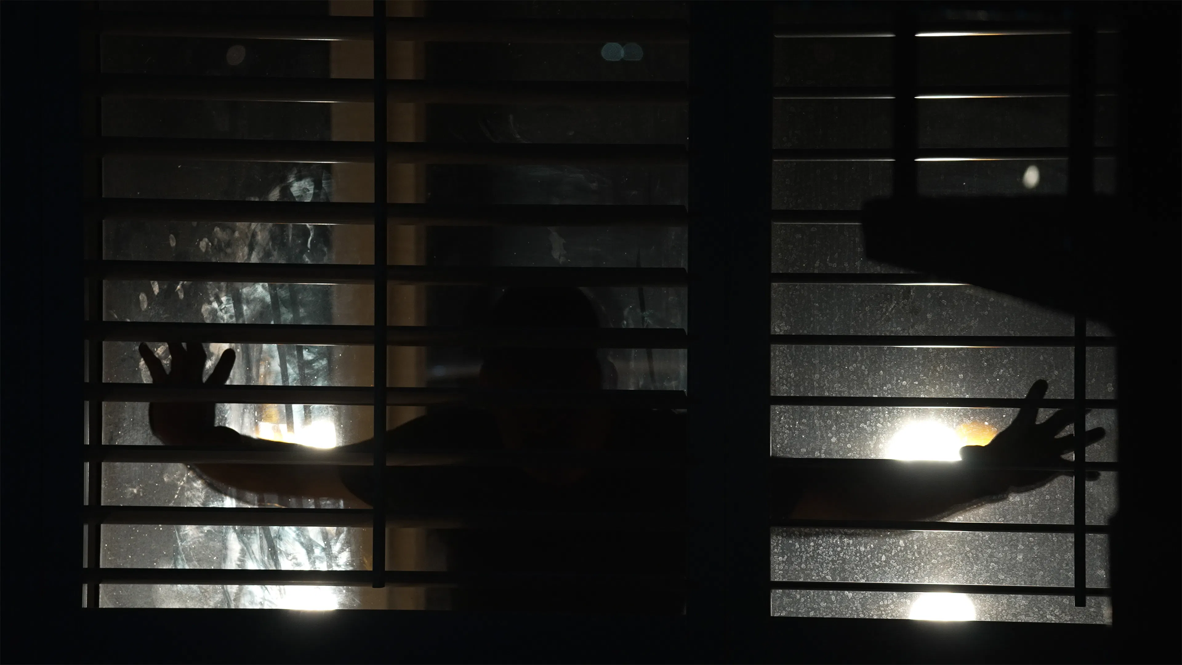 Свиньи на убой