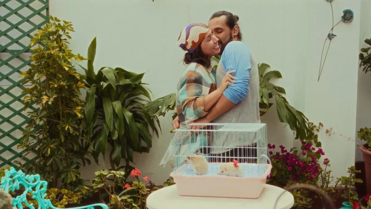 Колючая любовь