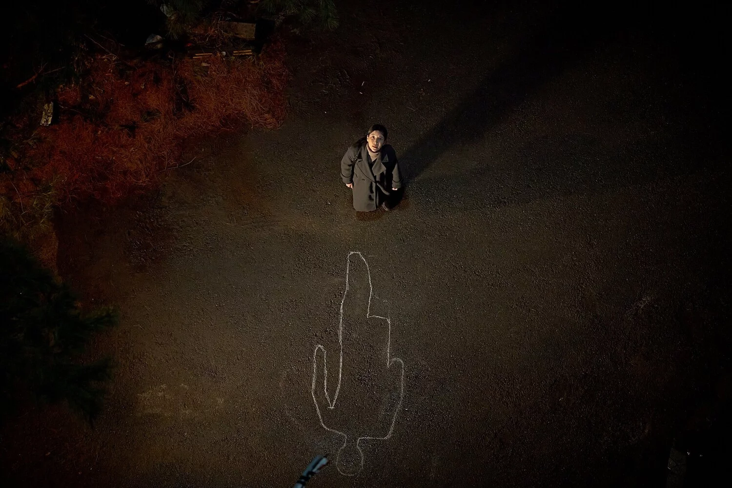 Домашняя камера