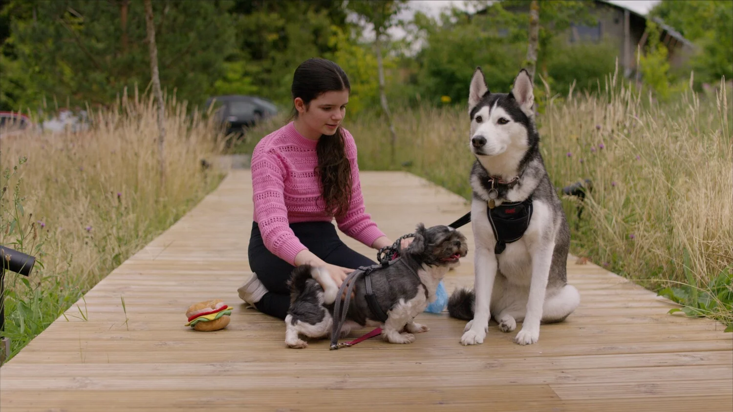 Рождество с хаски