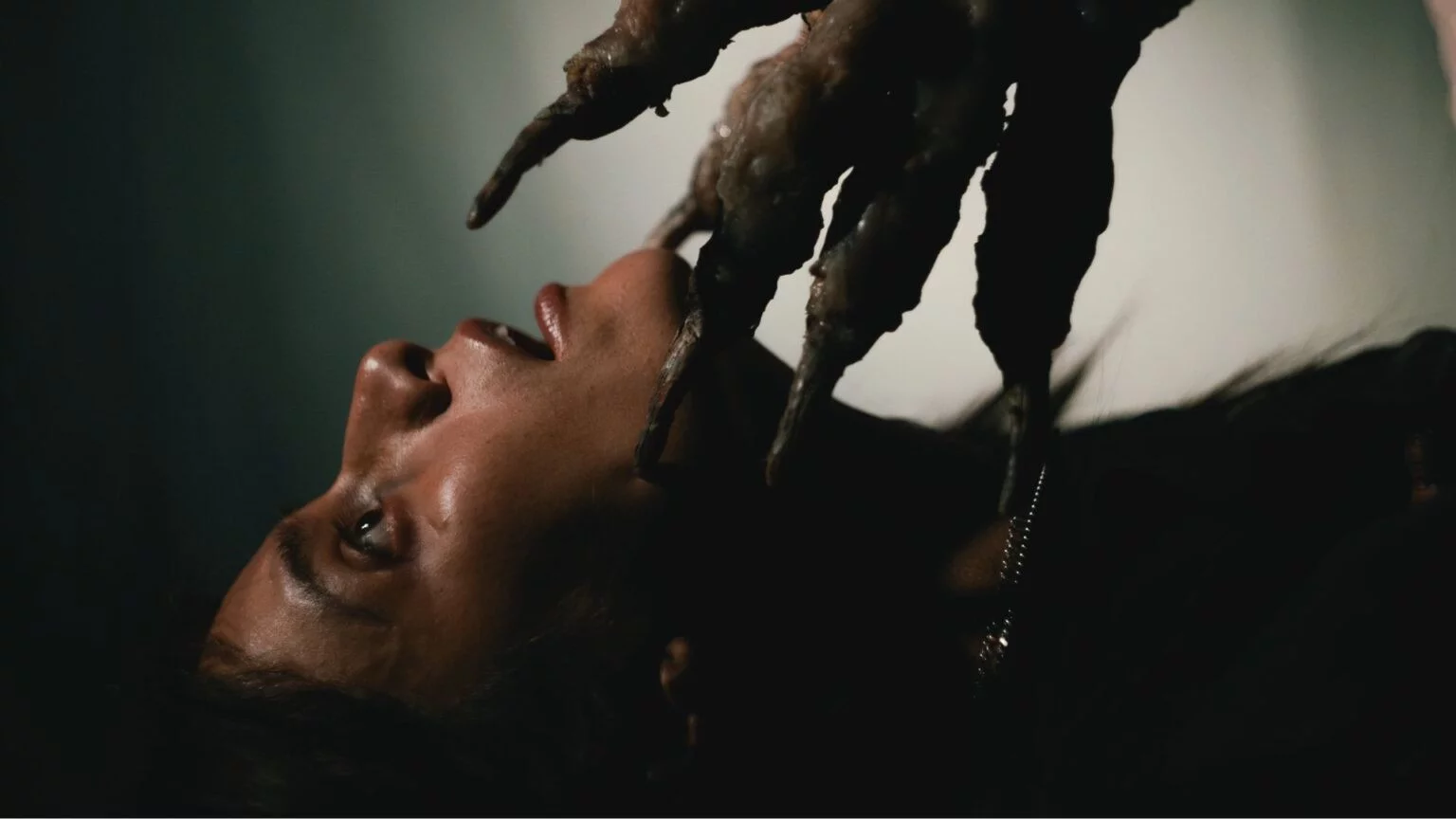 Не преследуй меня