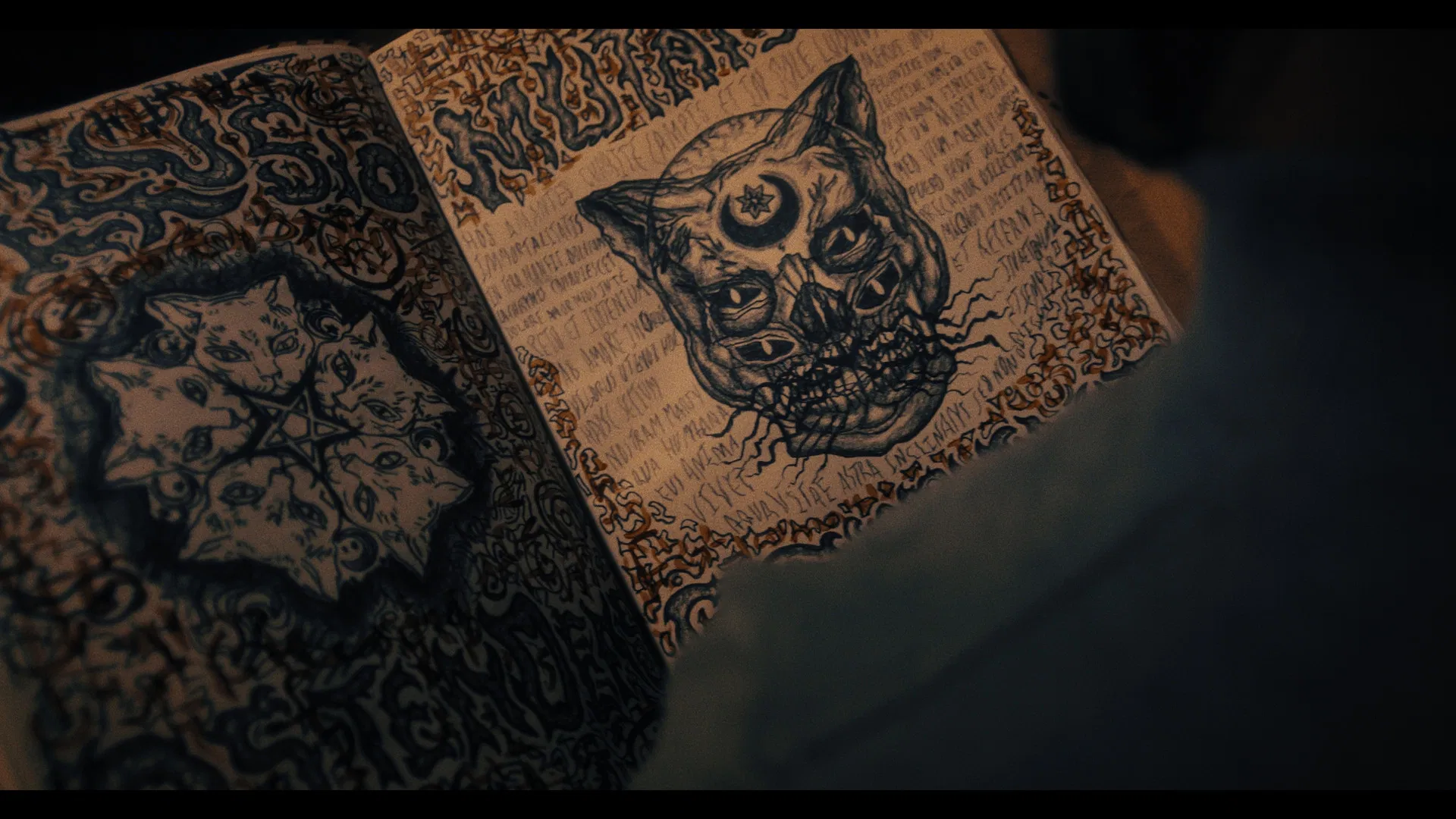 Не выпускайте кота