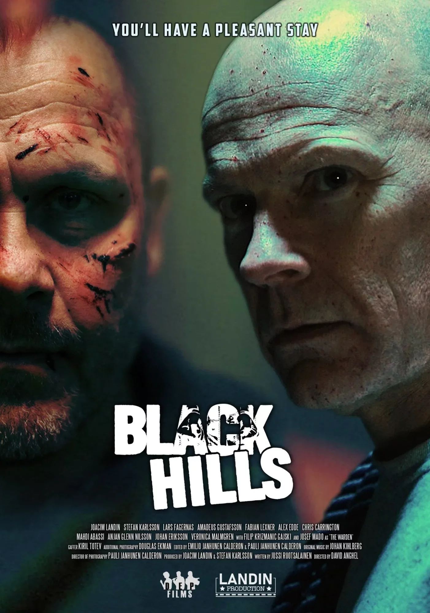 Чёрные холмы