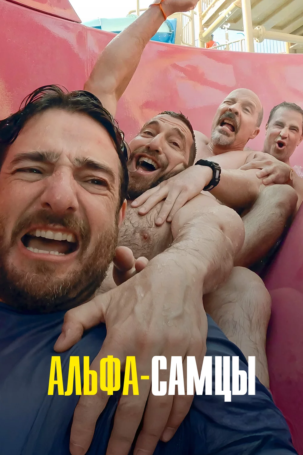 Альфа-самцы