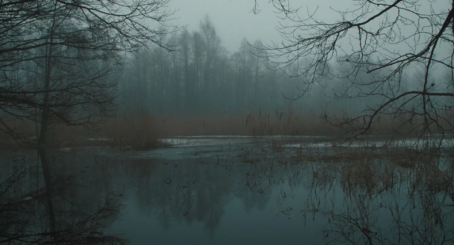 Дети с чёрными глазами