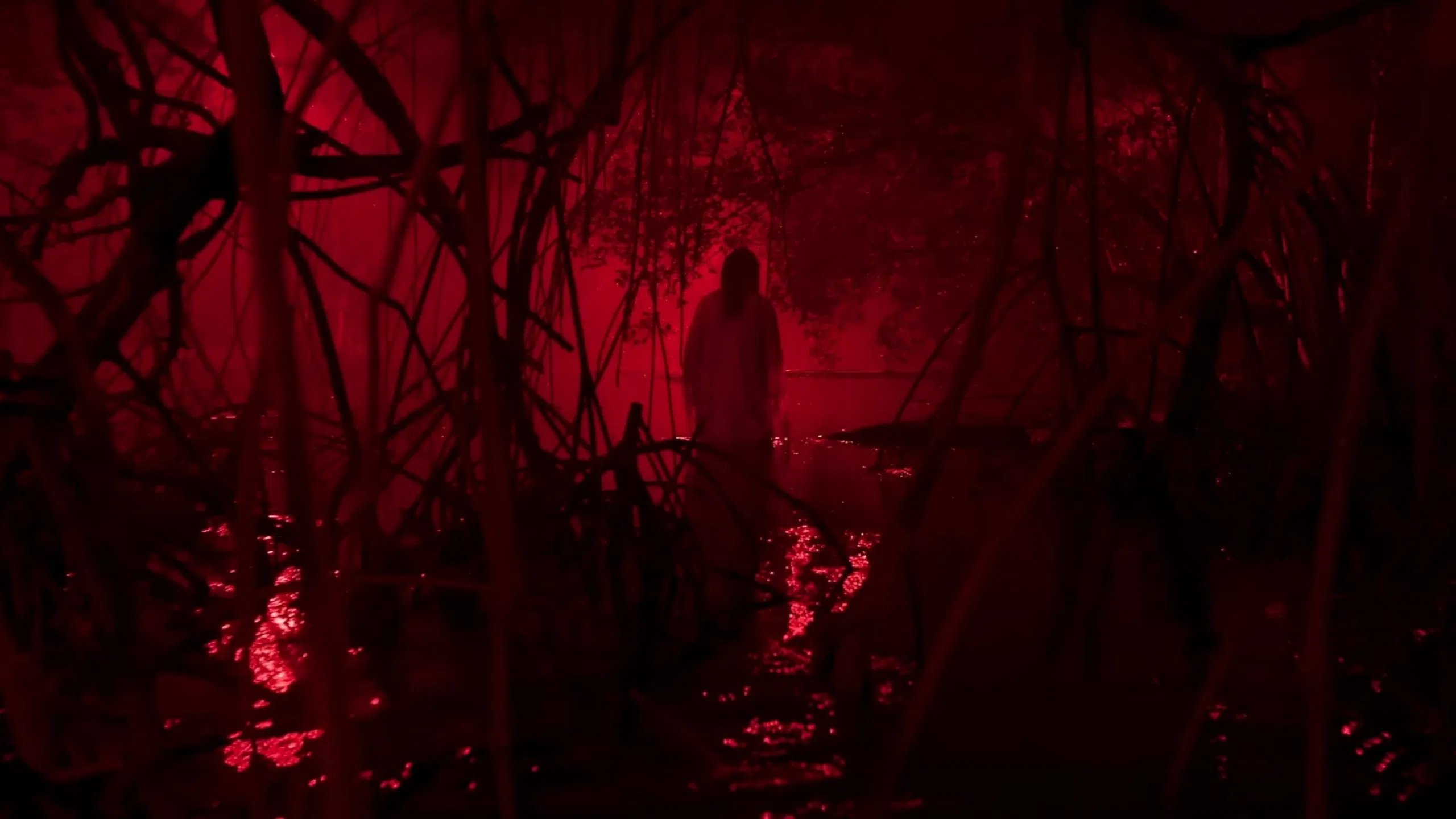 Мариям: Обет и связанная душа