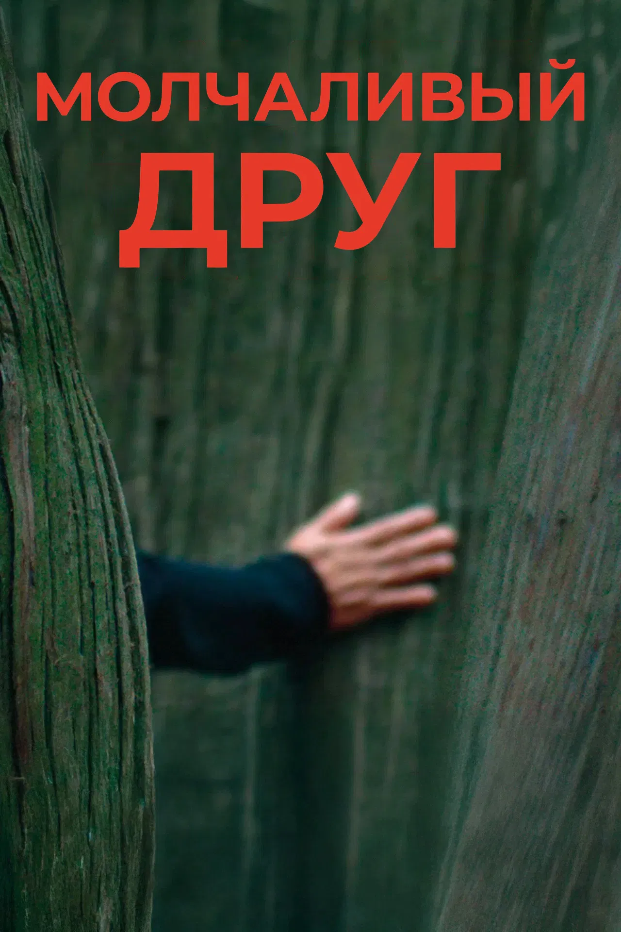 Молчаливый друг