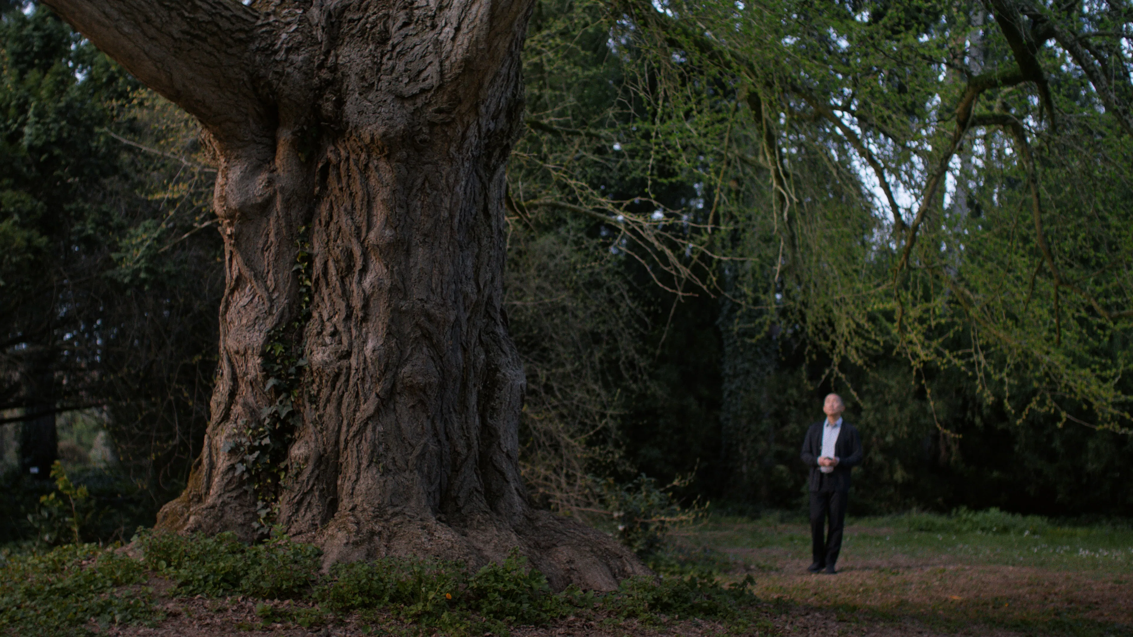 Молчаливый друг