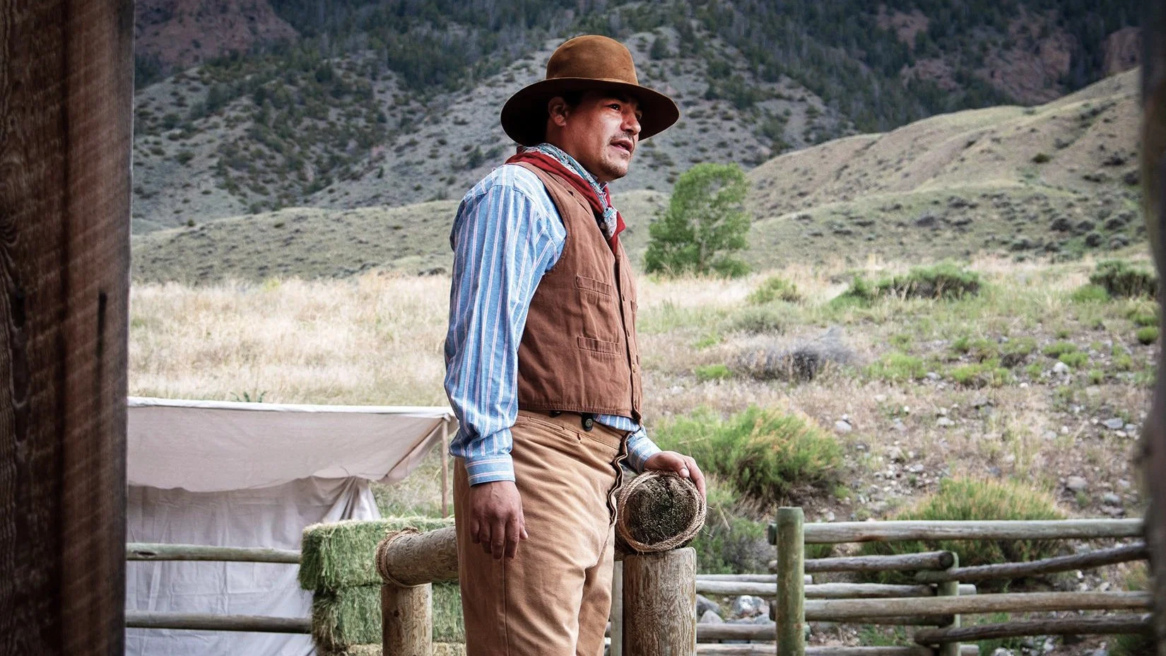 Дни бизонов