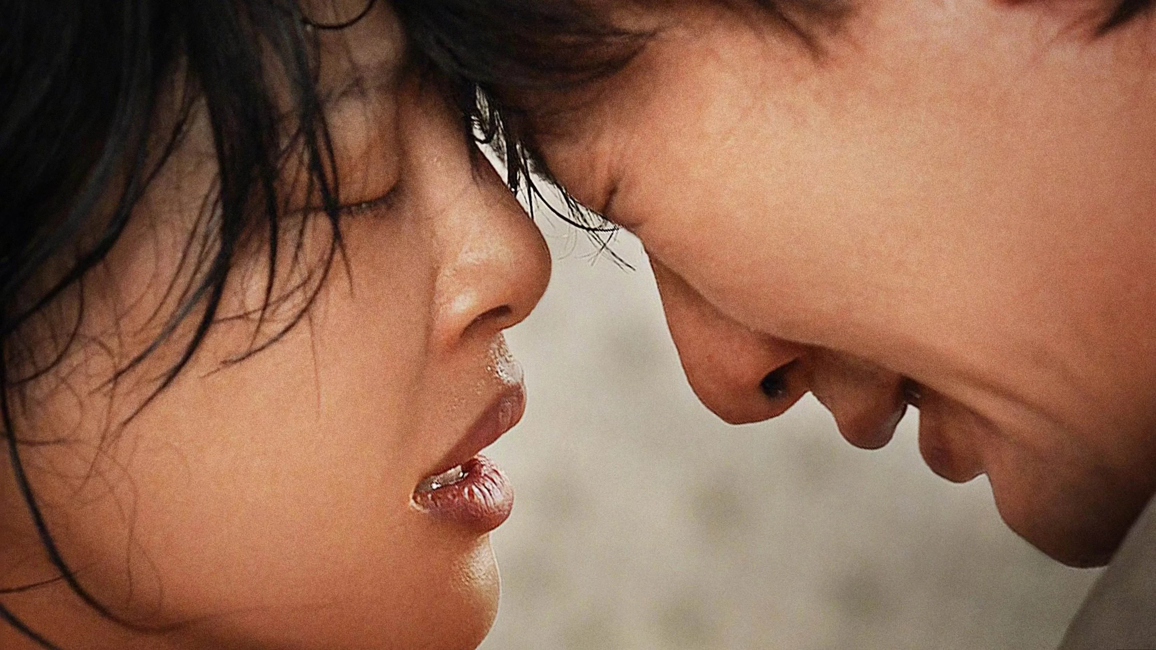 Солнце встаёт над всеми нами