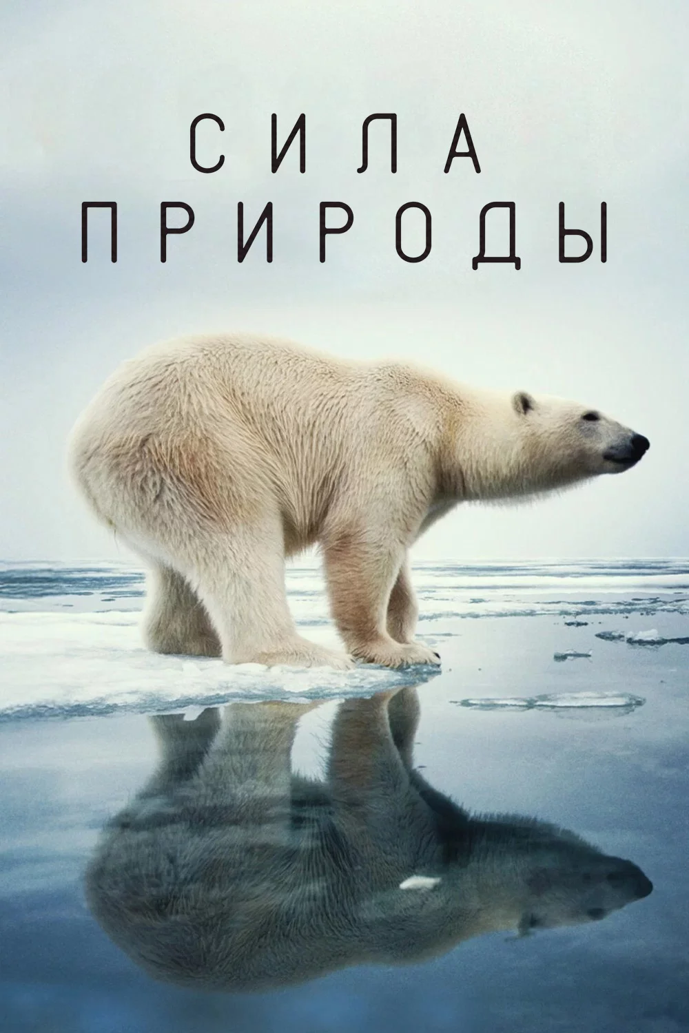 Сила природы
