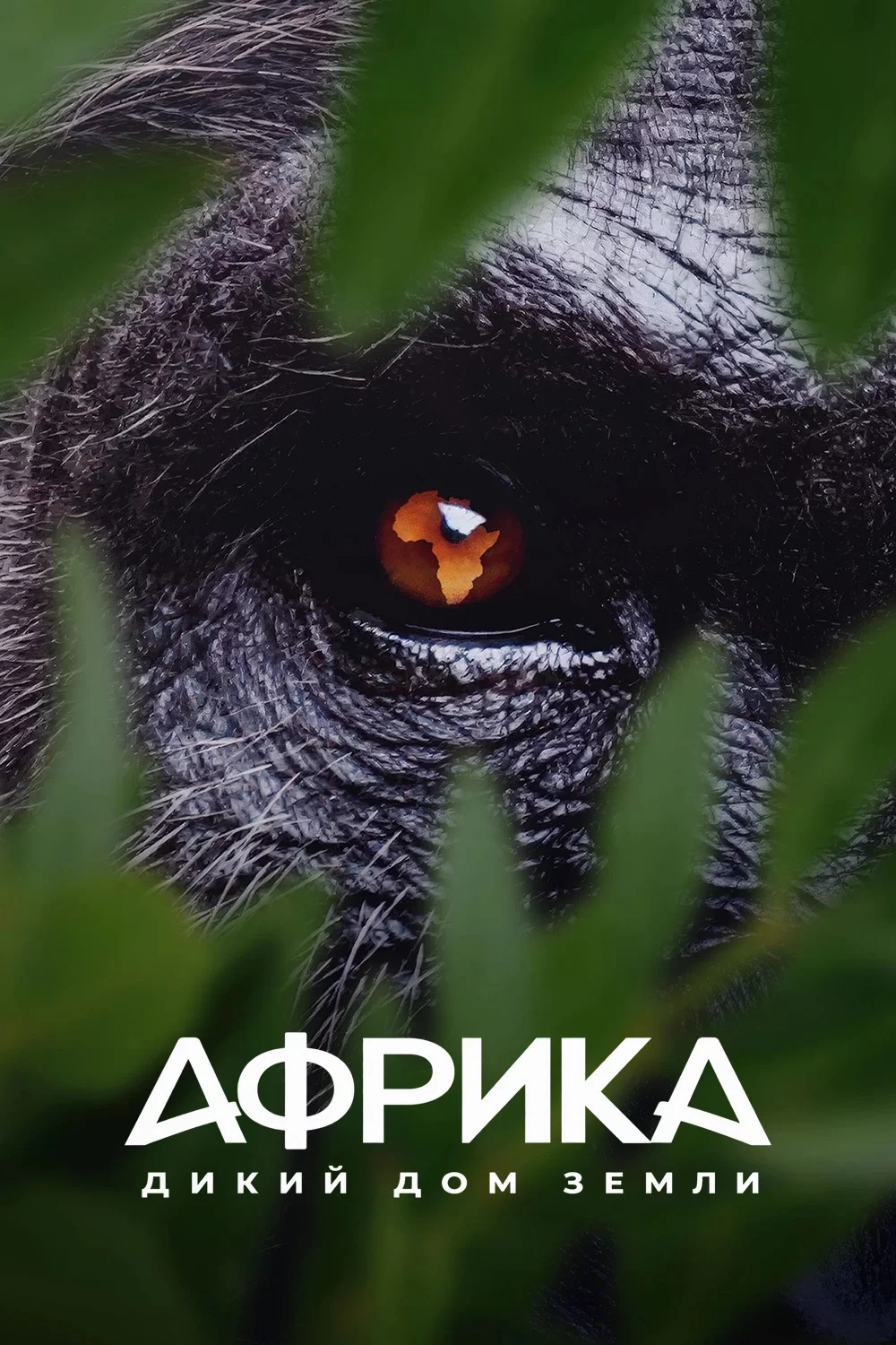 Африка: Дикий дом Земли
